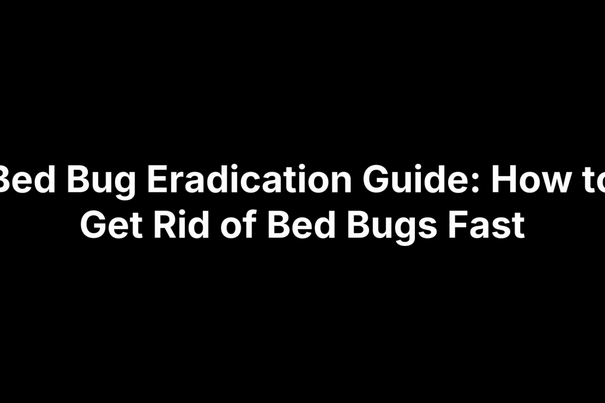 Bed Bug Eradication Guide: How to Get Rid of Bed Bugs Fast