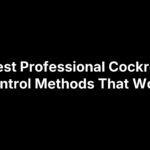 10 Best Professional Cockroach Control Methods That Work