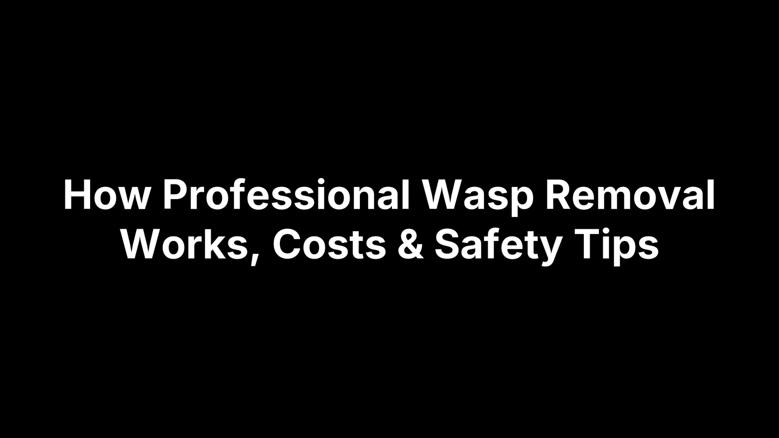 How Professional Wasp Removal Works, Costs & Safety Tips