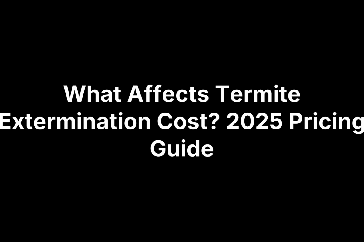 What Affects Termite Extermination Cost? 2025 Pricing Guide
