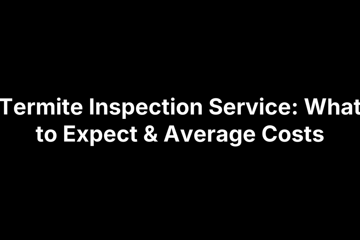 Termite Inspection Service: What to Expect & Average Costs