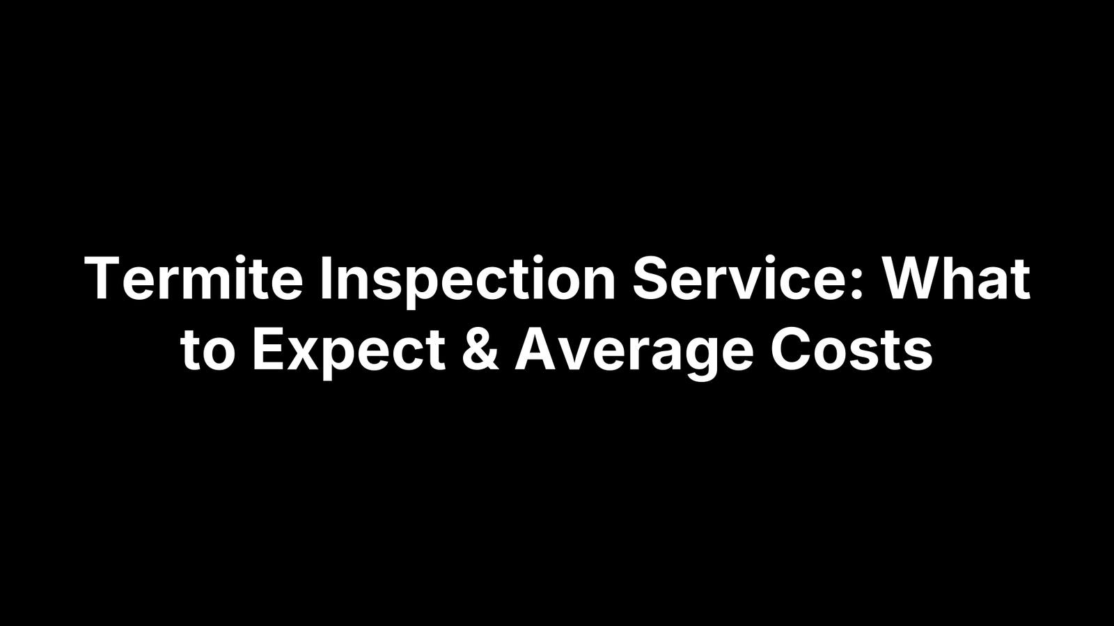 Termite Inspection Service: What to Expect & Average Costs