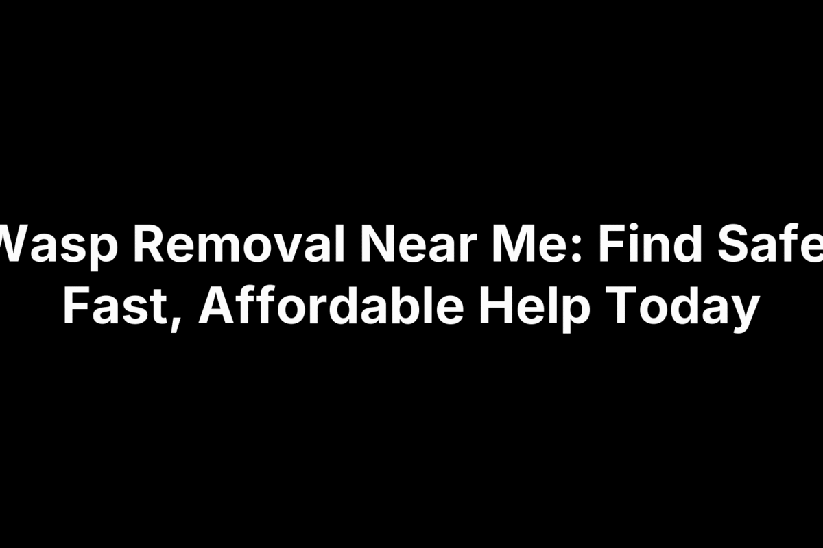 Wasp Removal Near Me: Find Safe, Fast, Affordable Help Today