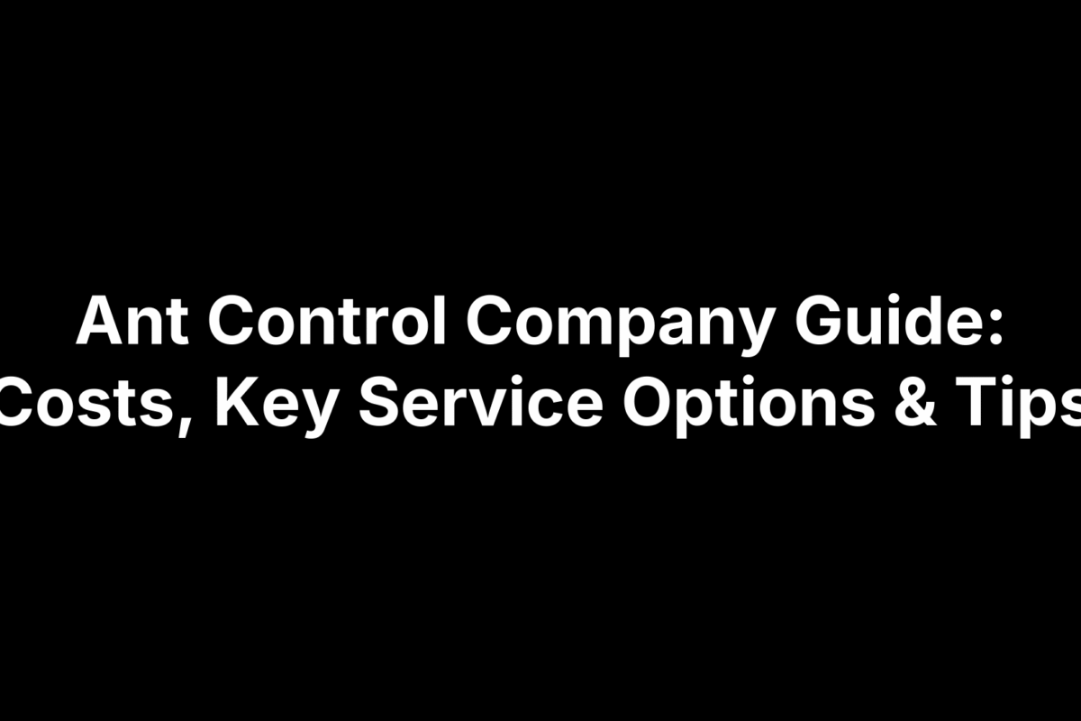 Ant Control Company Guide: Costs, Key Service Options & Tips
