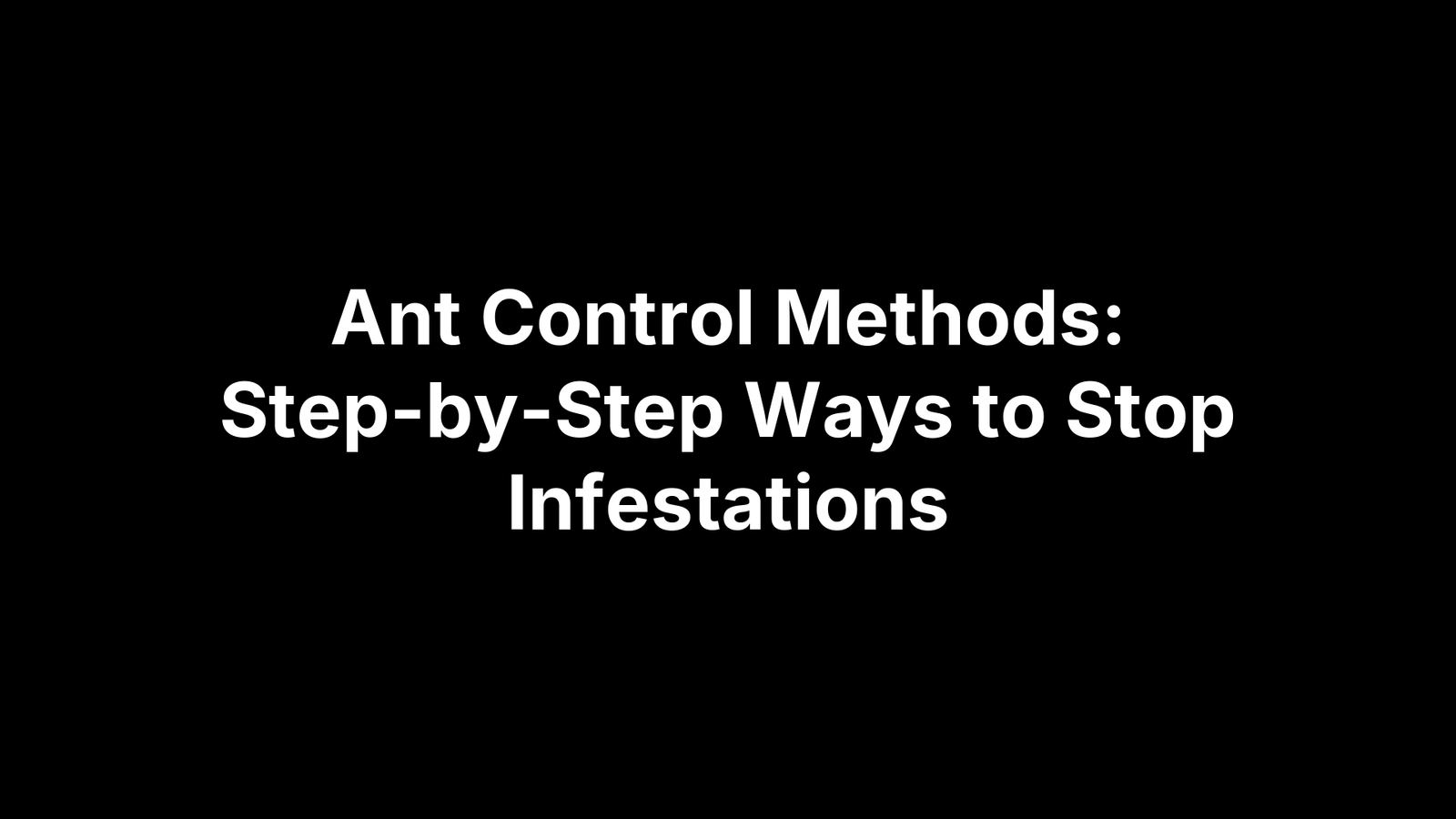 Ant Control Methods: Step-by-Step Ways to Stop Infestations