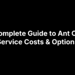 The Complete Guide to Ant Control Service Costs & Options