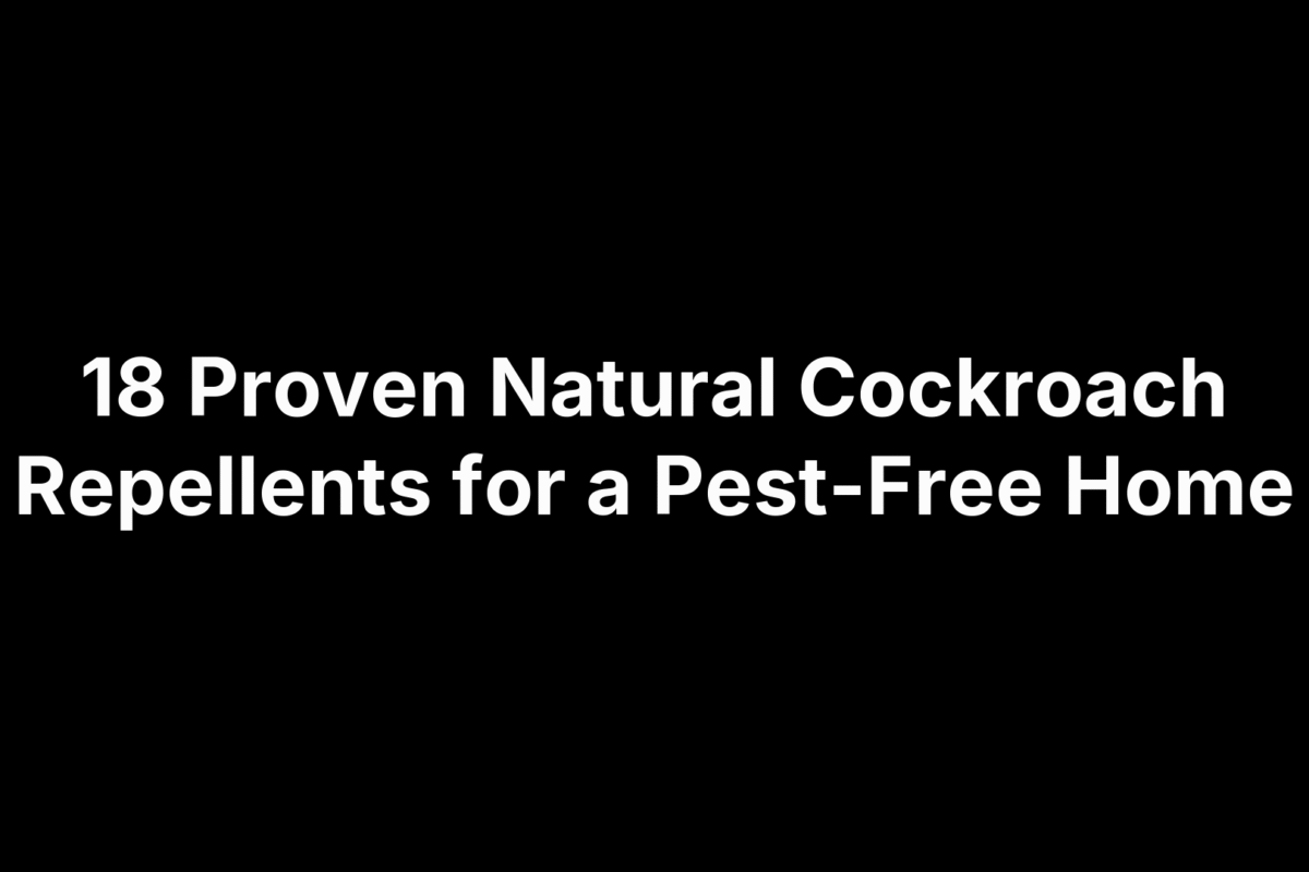18 Proven Natural Cockroach Repellents for a Pest-Free Home