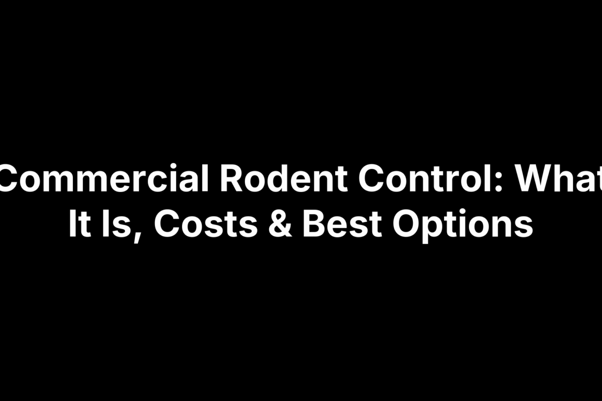 Commercial Rodent Control: What It Is, Costs & Best Options