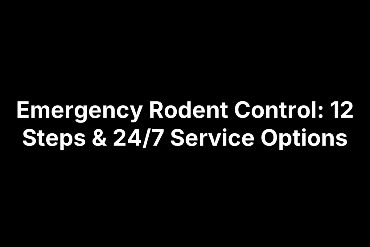 Emergency Rodent Control: 12 Steps & 24/7 Service Options