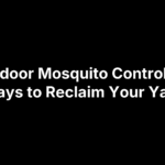 Outdoor Mosquito Control: 18 Ways to Reclaim Your Yard