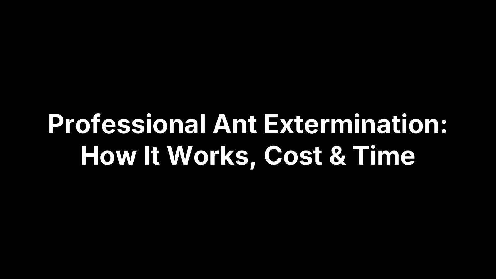 Professional Ant Extermination: How It Works, Cost & Time