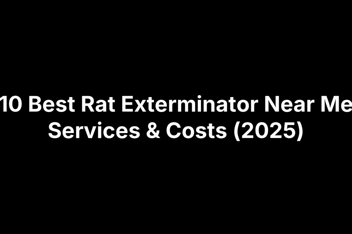 10 Best Rat Exterminator Near Me Services & Costs (2025)