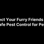 Protect Your Furry Friends With Safe Pest Control for Pets