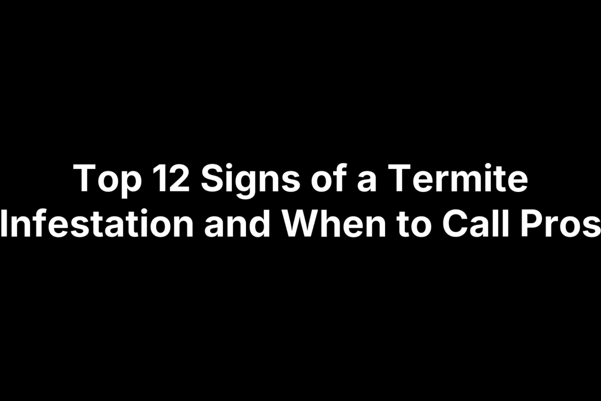 Top 12 Signs of a Termite Infestation and When to Call Pros
