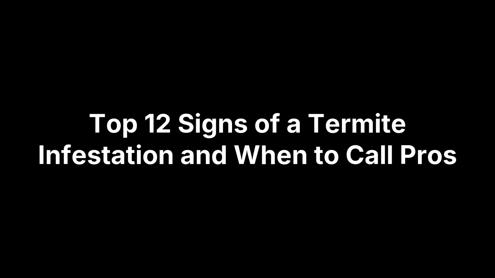 Top 12 Signs of a Termite Infestation and When to Call Pros