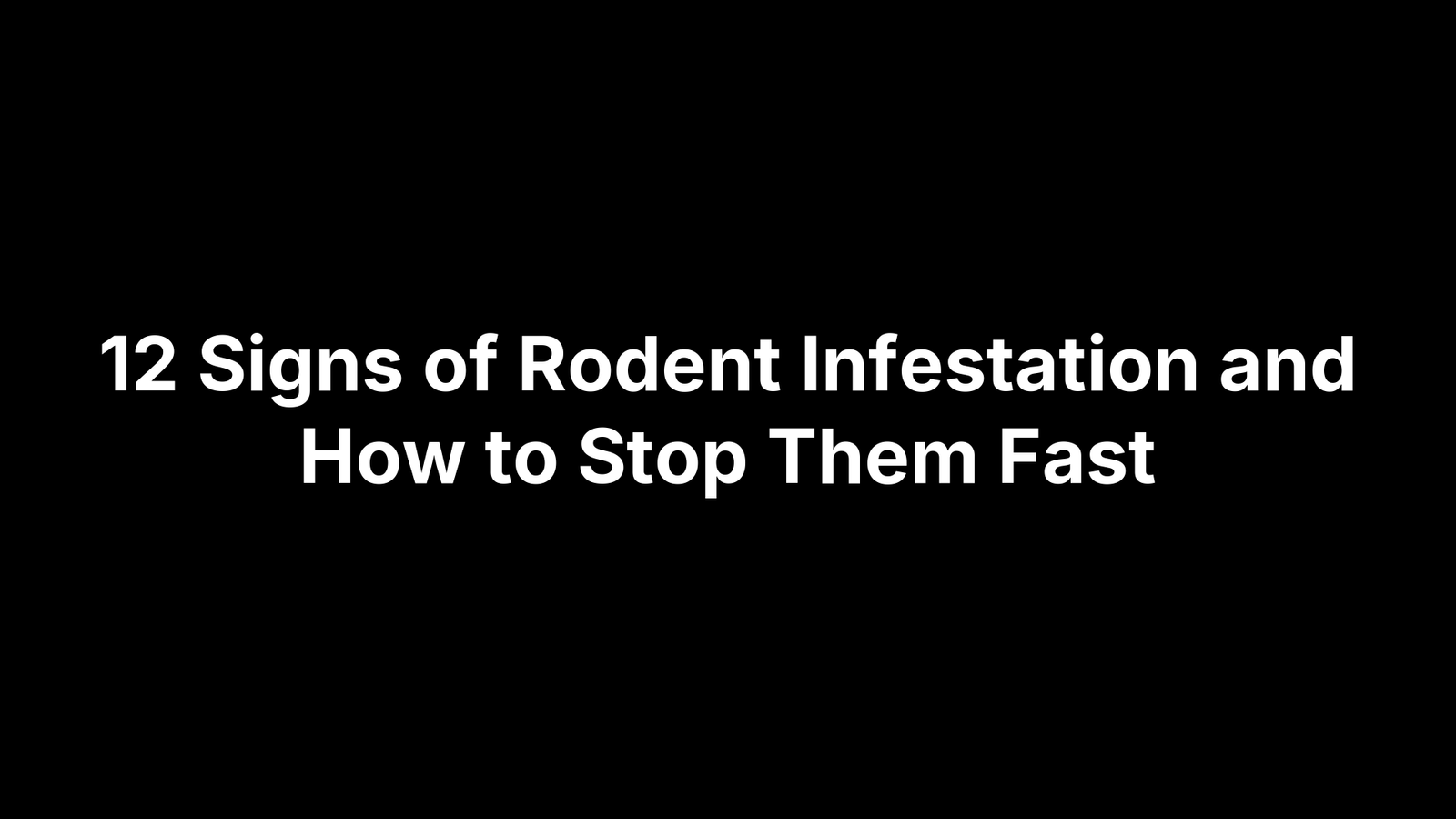 12 Signs of Rodent Infestation and How to Stop Them Fast
