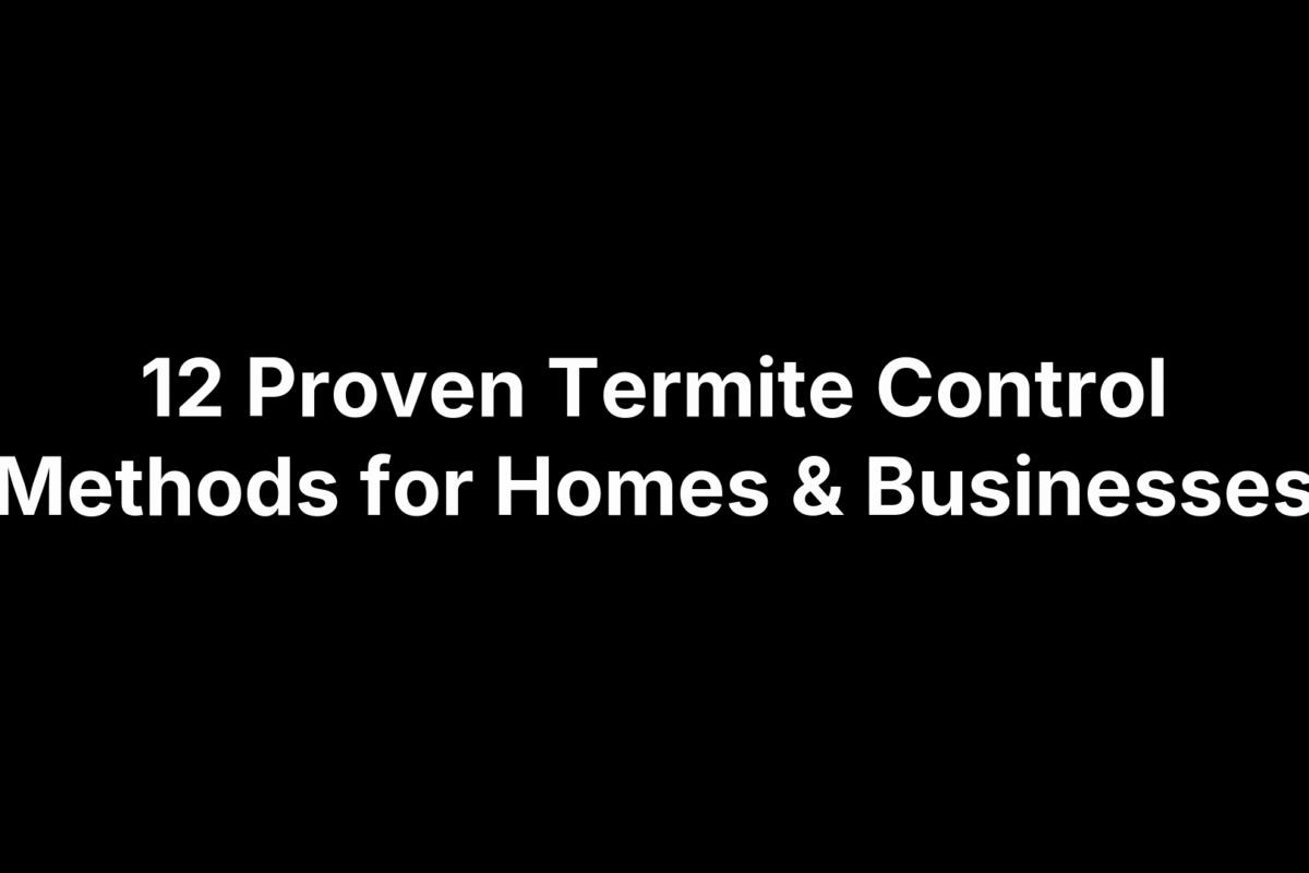 12 Proven Termite Control Methods for Homes & Businesses