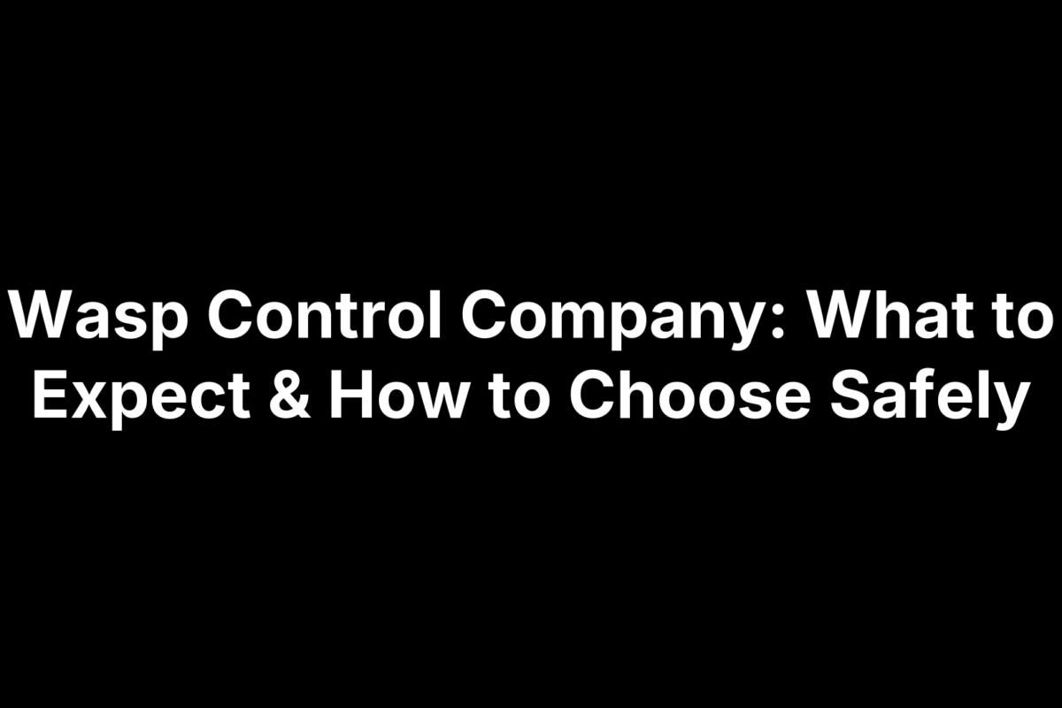Wasp Control Company: What to Expect & How to Choose Safely