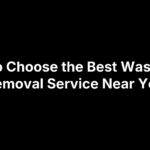 How to Choose the Best Wasp Nest Removal Service Near You