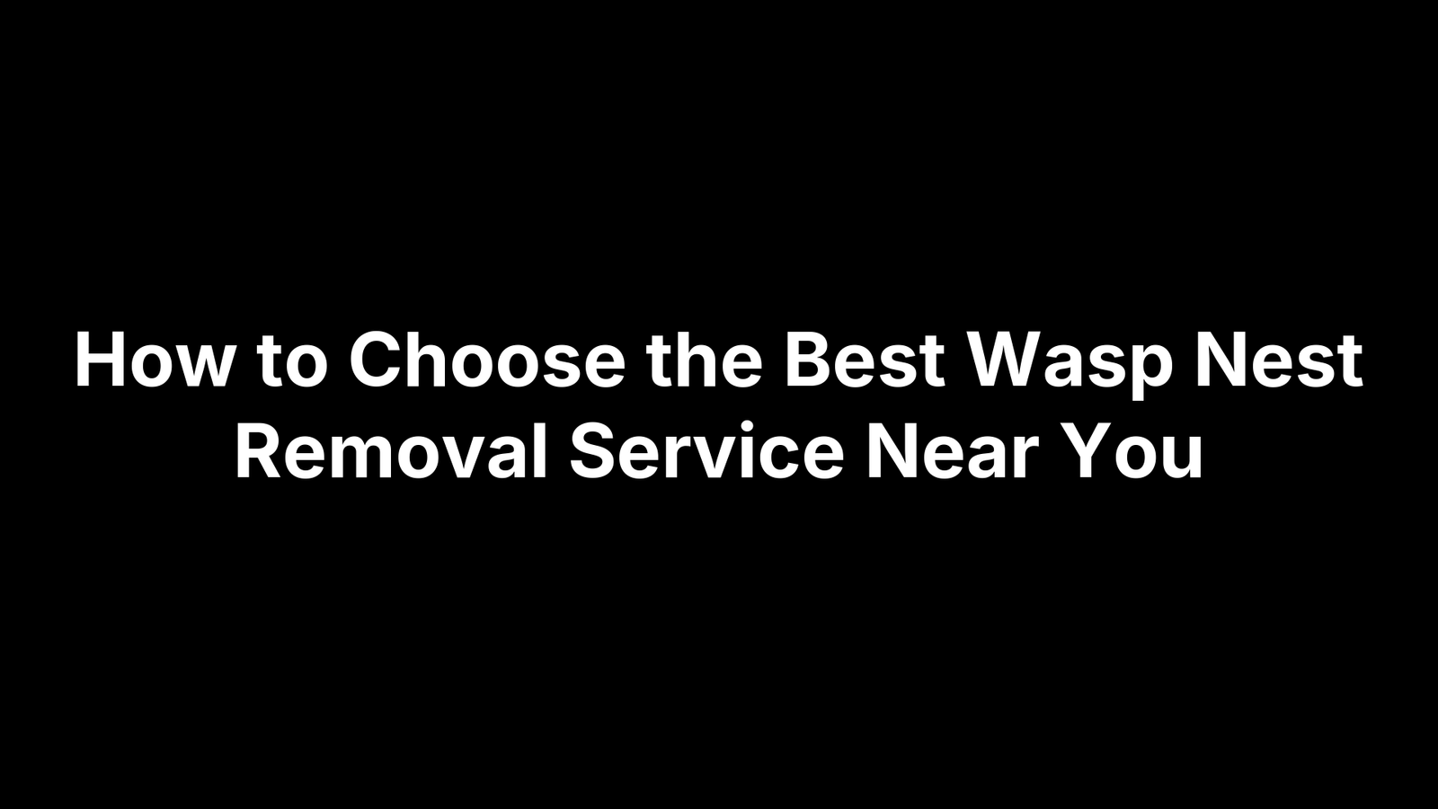 How to Choose the Best Wasp Nest Removal Service Near You