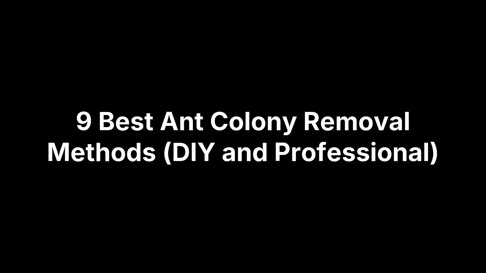 9 Best Ant Colony Removal Methods (DIY and Professional)