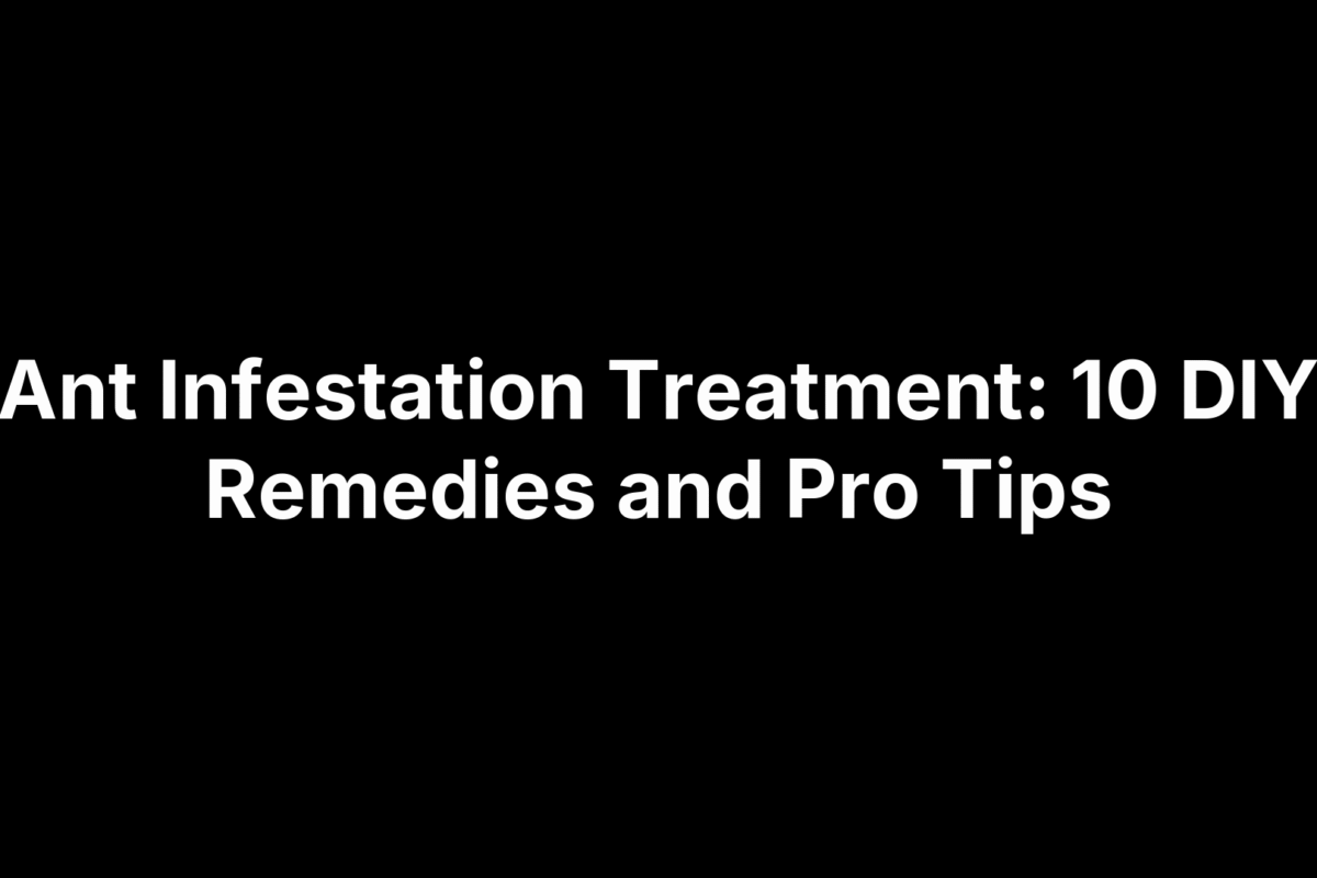 Ant Infestation Treatment: 10 DIY Remedies and Pro Tips