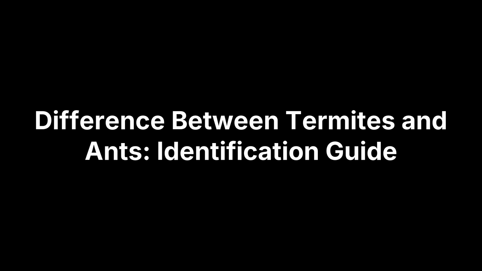 Difference Between Termites and Ants: Identification Guide