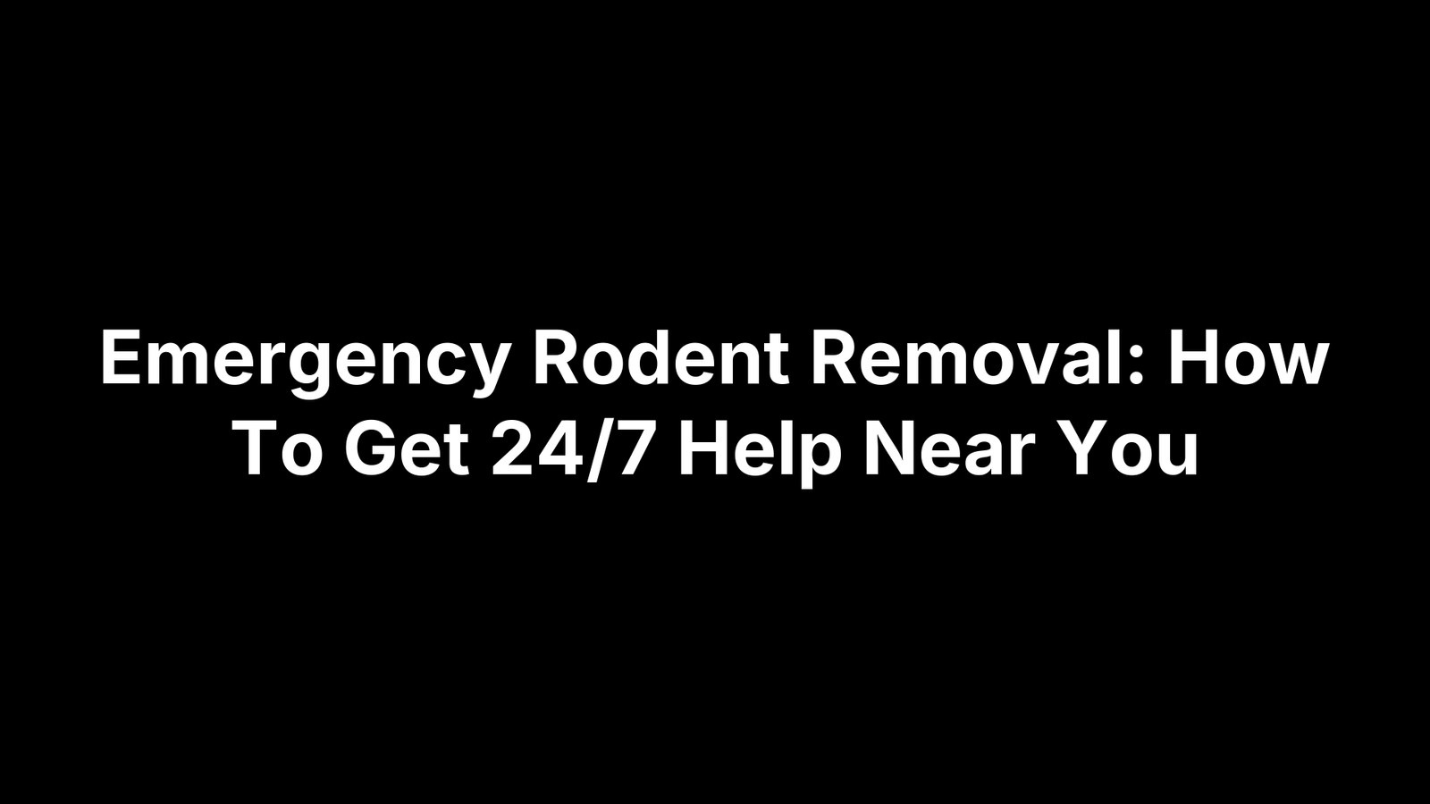 Emergency Rodent Removal: How To Get 24/7 Help Near You