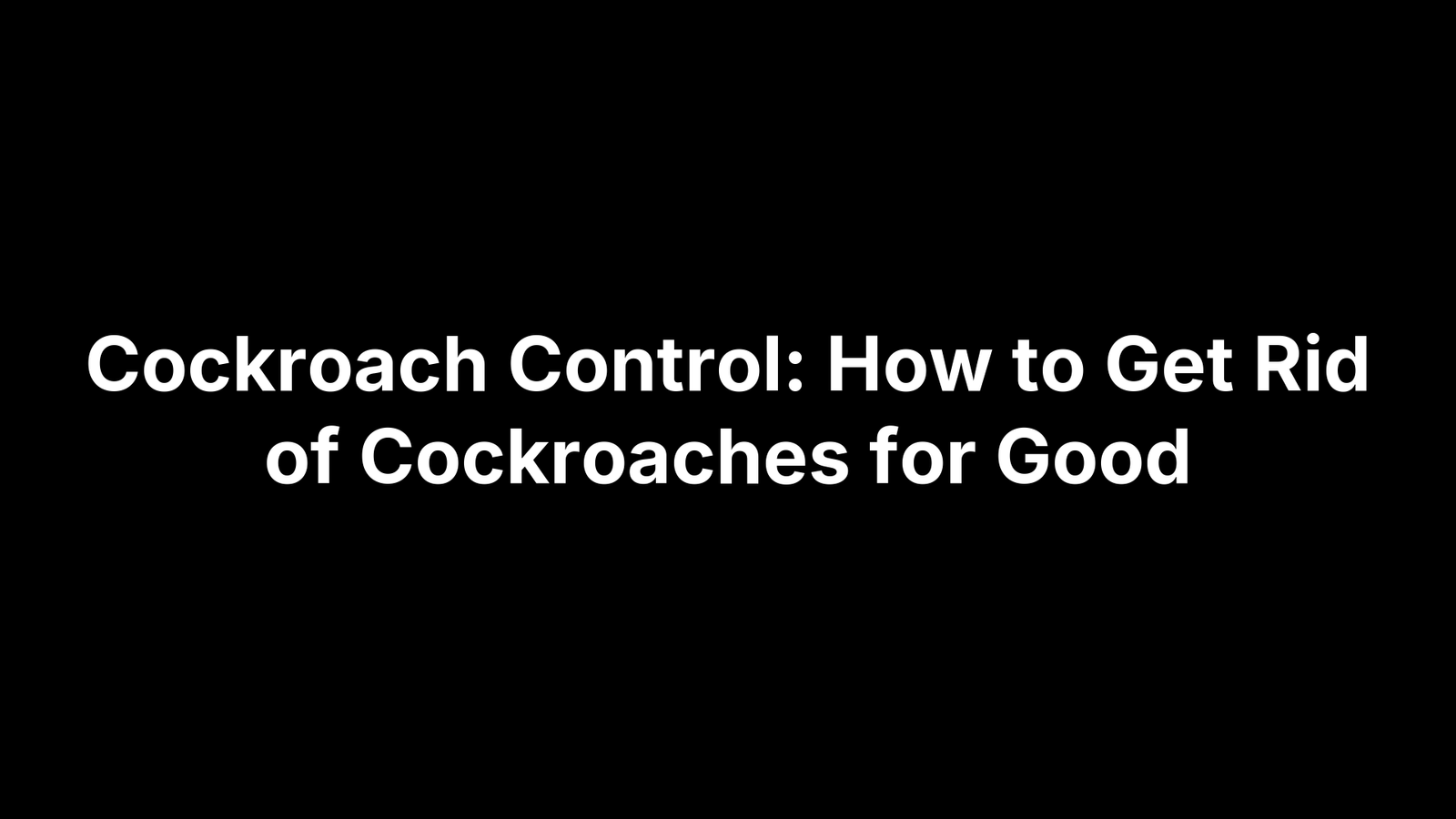 Cockroach Control: How to Get Rid of Cockroaches for Good