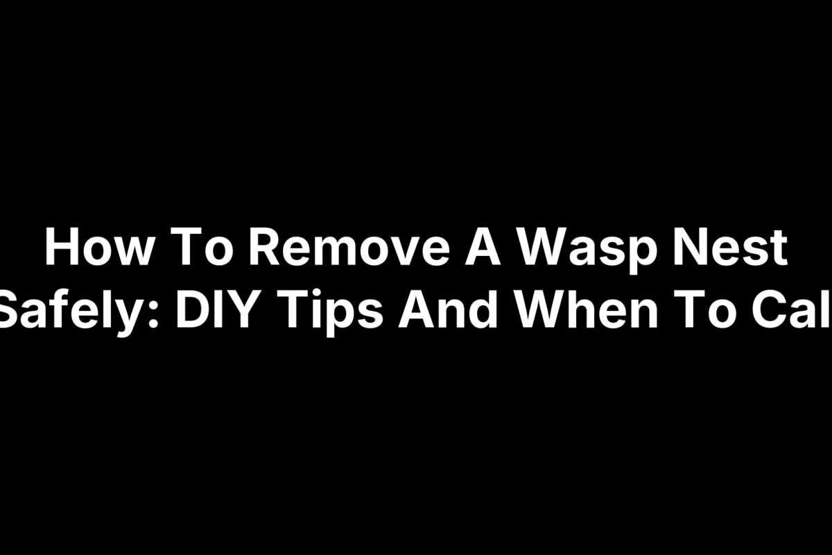 How To Remove A Wasp Nest Safely: DIY Tips And When To Call
