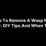 How To Remove A Wasp Nest Safely: DIY Tips And When To Call