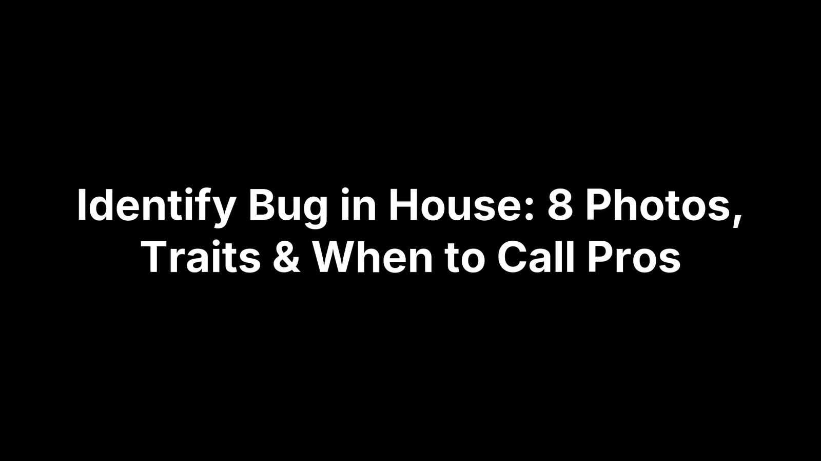 Identify Bug in House: 8 Photos, Traits & When to Call Pros