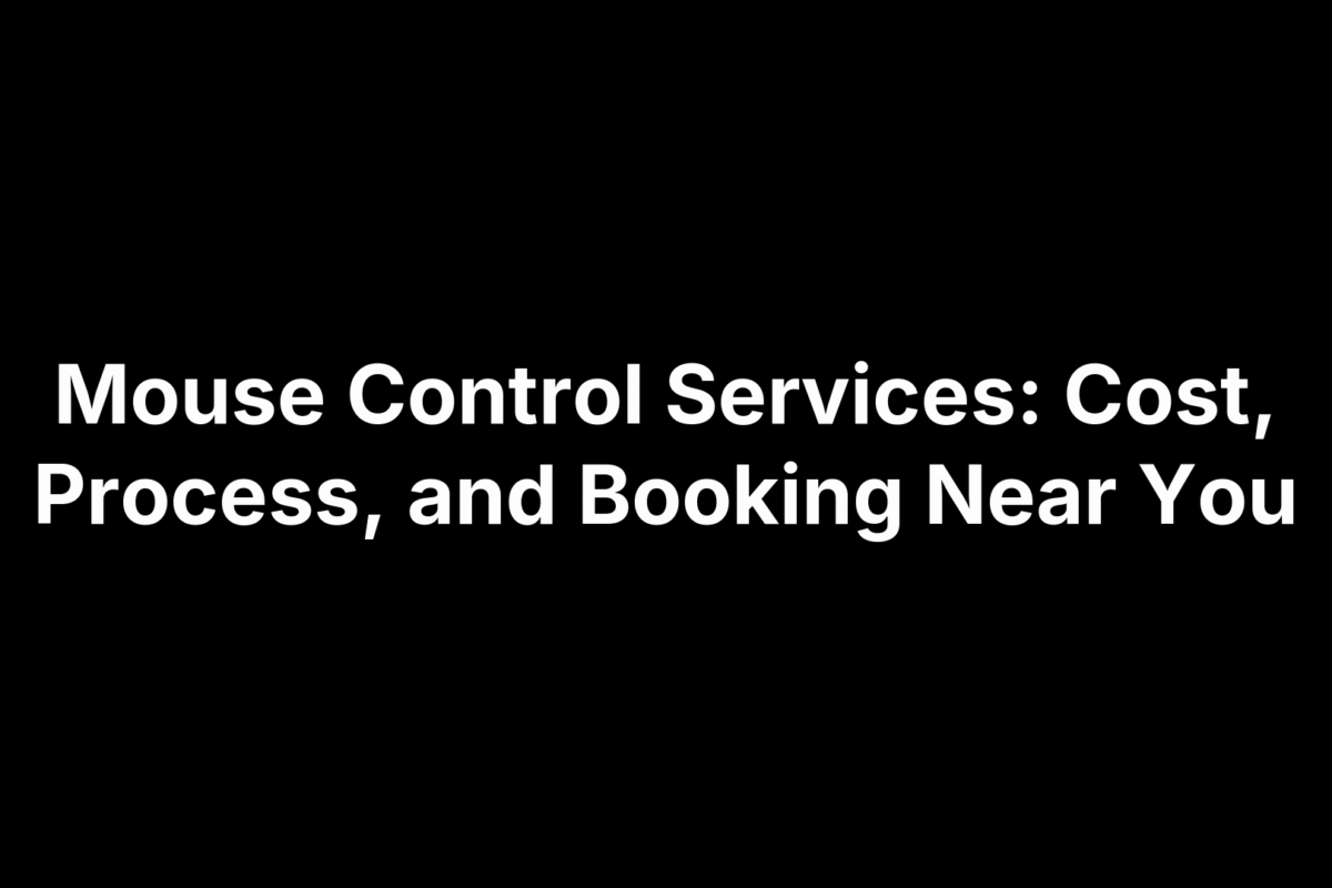 Mouse Control Services: Cost, Process, and Booking Near You