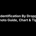 Pest Identification By Droppings: Photo Guide, Chart & Tips