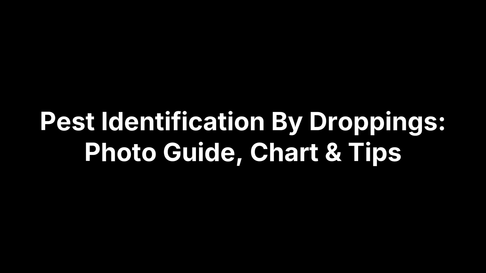 Pest Identification By Droppings: Photo Guide, Chart & Tips