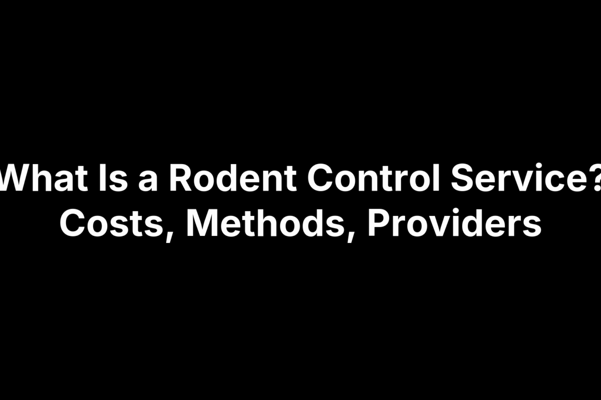 What Is a Rodent Control Service? Costs, Methods, Providers