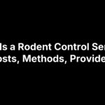 What Is a Rodent Control Service? Costs, Methods, Providers