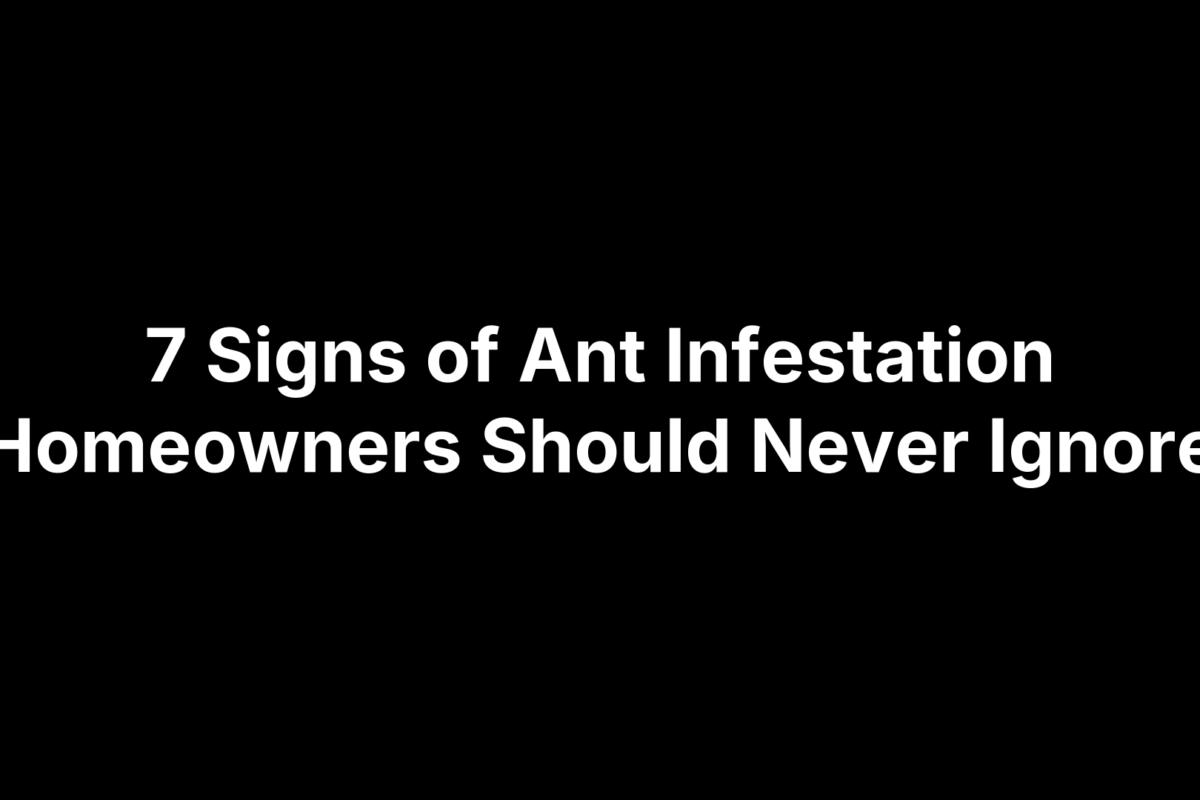 7 Signs of Ant Infestation Homeowners Should Never Ignore