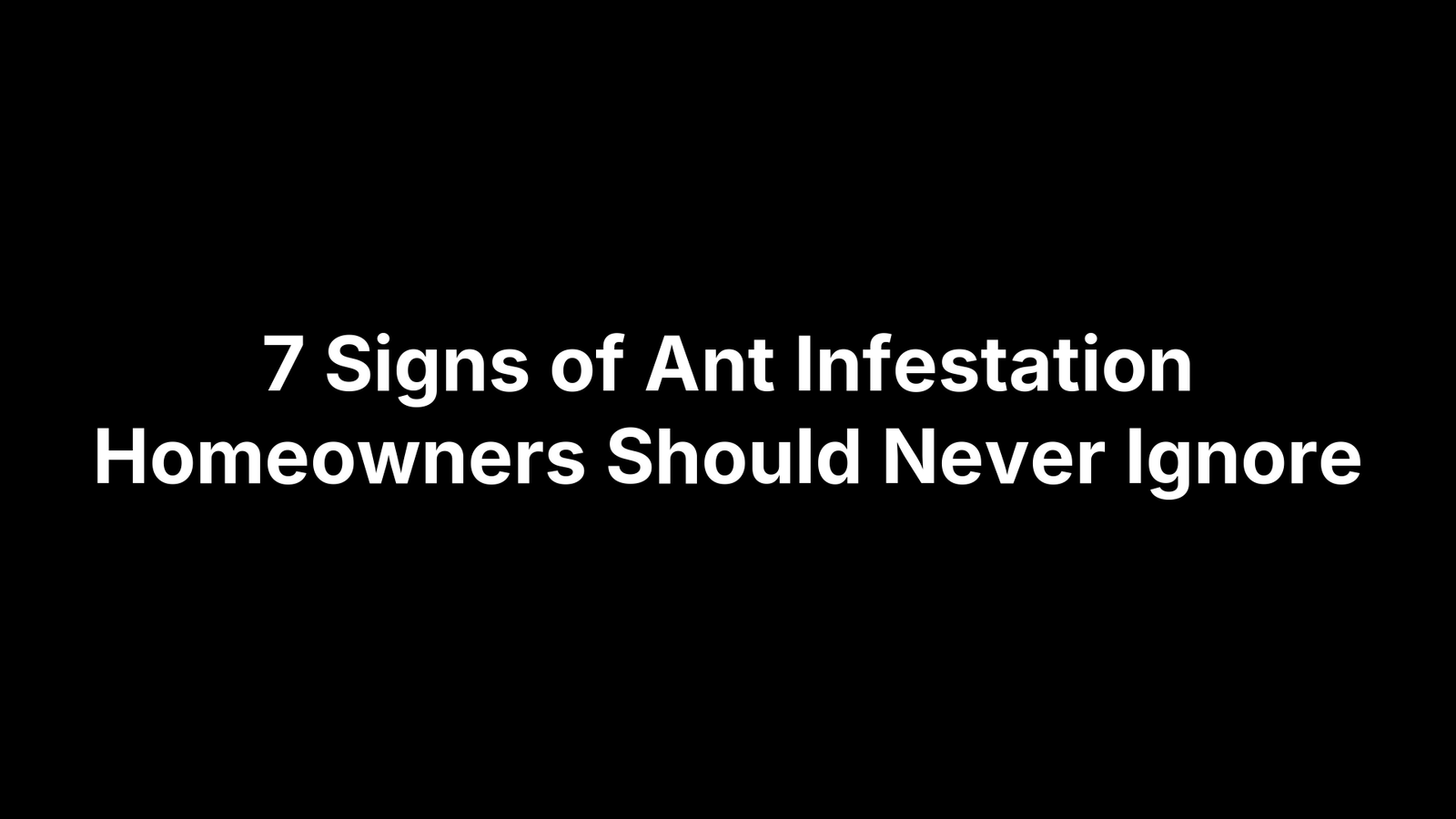 7 Signs of Ant Infestation Homeowners Should Never Ignore