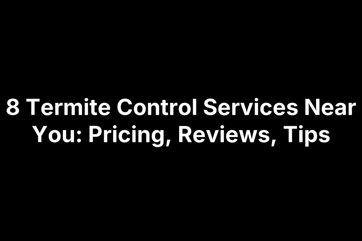 8 Termite Control Services Near You: Pricing, Reviews, Tips