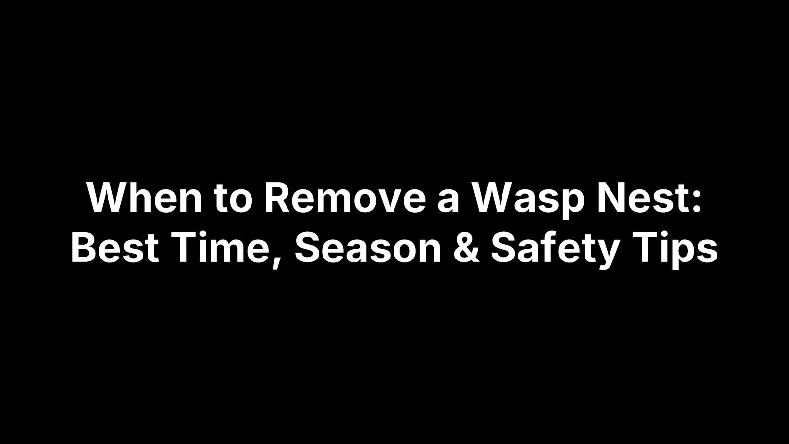 When to Remove a Wasp Nest: Best Time, Season & Safety Tips