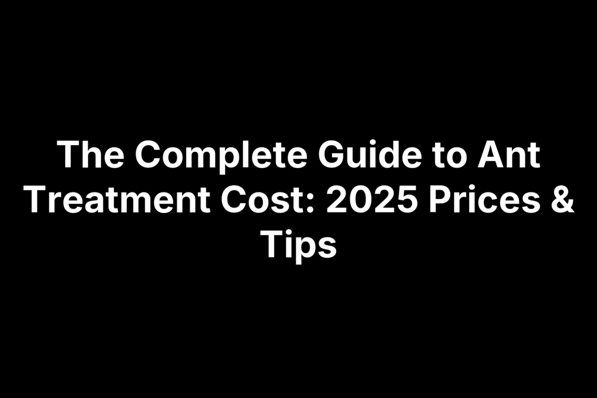 The Complete Guide to Ant Treatment Cost: 2025 Prices & Tips