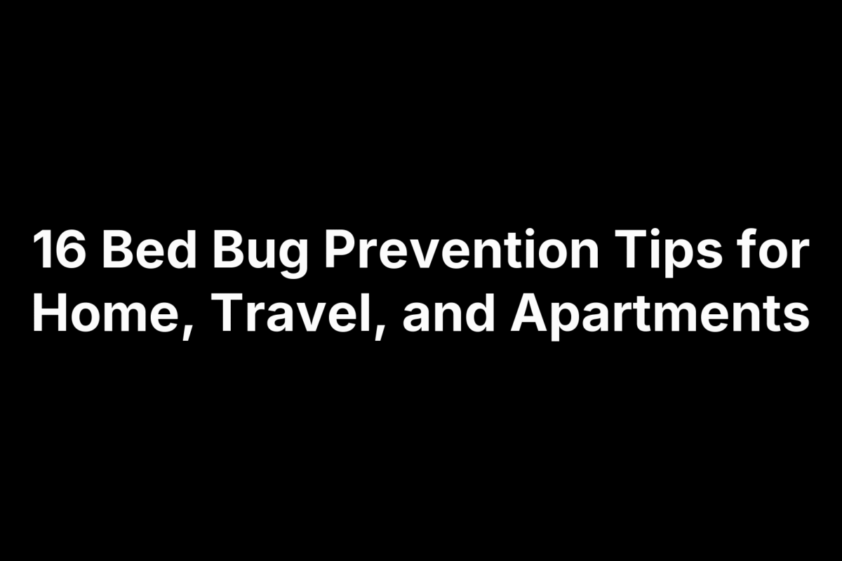 16 Bed Bug Prevention Tips for Home, Travel, and Apartments