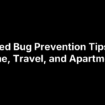 16 Bed Bug Prevention Tips for Home, Travel, and Apartments
