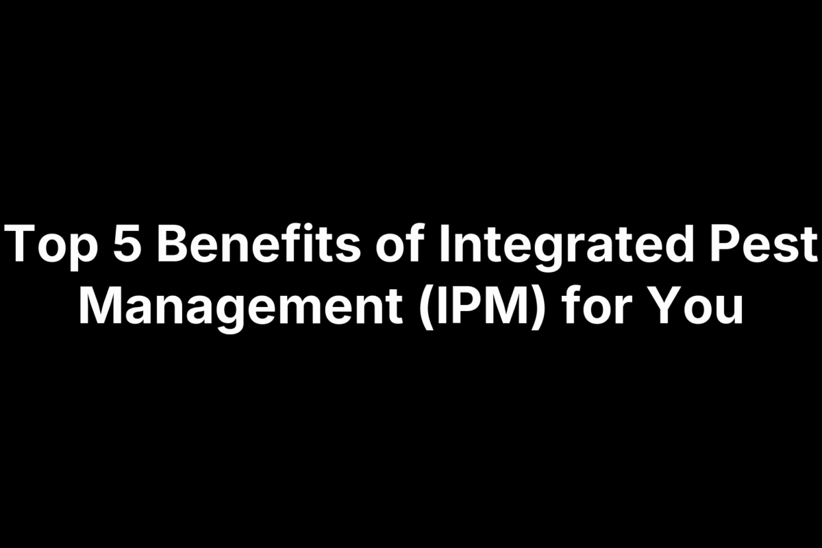 Top 5 Benefits of Integrated Pest Management (IPM) for You