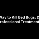Best Way to Kill Bed Bugs: DIY vs. Professional Treatments