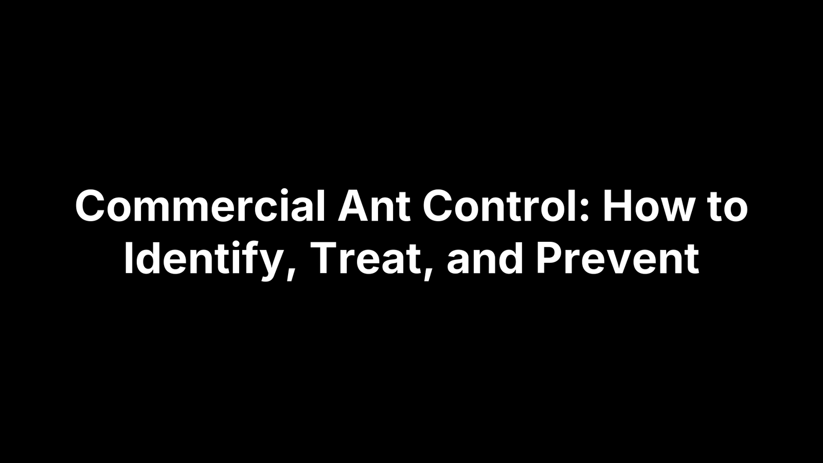 Commercial Ant Control: How to Identify, Treat, and Prevent