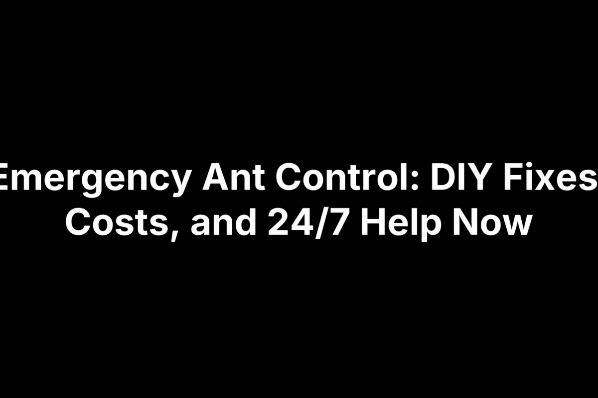 Emergency Ant Control: DIY Fixes, Costs, and 24/7 Help Now