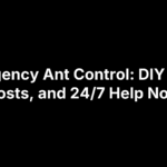 Emergency Ant Control: DIY Fixes, Costs, and 24/7 Help Now