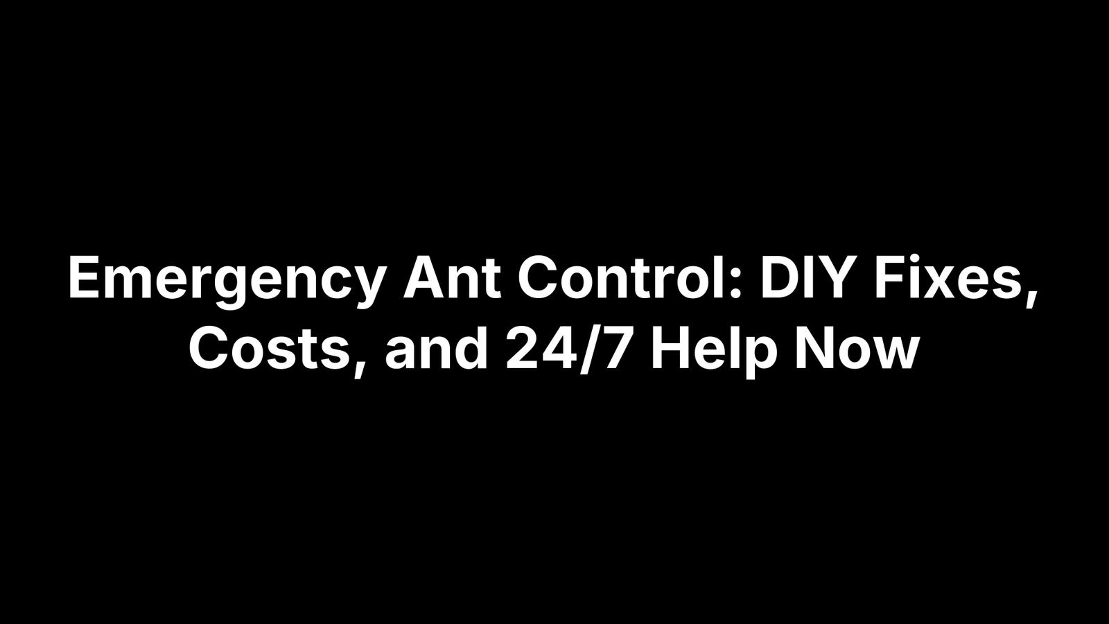 Emergency Ant Control: DIY Fixes, Costs, and 24/7 Help Now